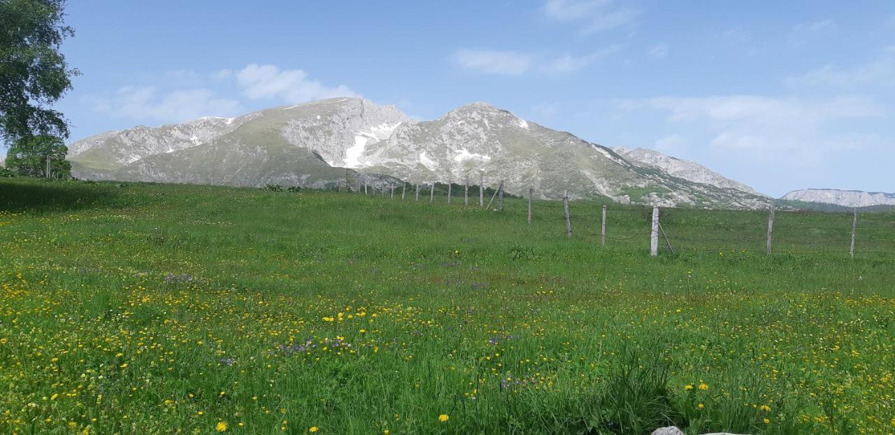 Durmitorski Konak Žabljak エクステリア 写真